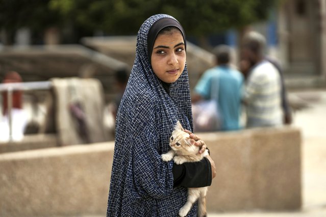 A Palestinian girl carries her cat as she evacuates a school that had been her shelter, in eastern Deir al-Balah, Gaza Strip, Friday, August 16, 2024, after the Israeli military dropped leaflets asking civilians to evacuate from the area, saying forces plan to respond to rocket fire that targeted Israel. (Photo by Abdel Kareem Hana/AP Photo)