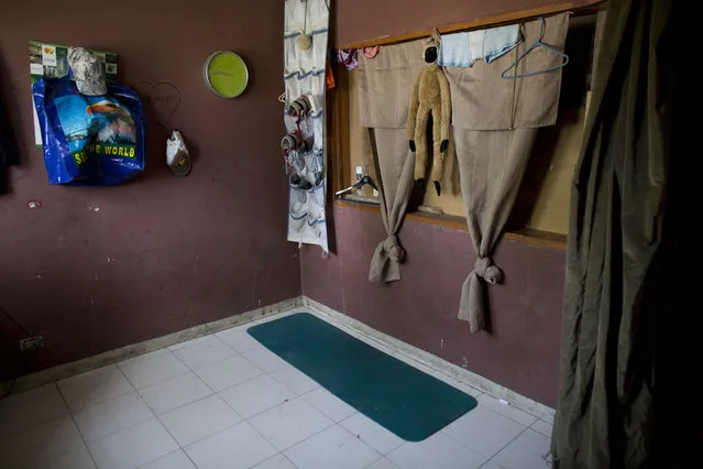 In this June 26, 2015 photo, a worn yoga mat is the only padding to sleep on for a family of three living in one room of an abandoned shipping depot in Port-au-Prince, Haiti. The six squatter families residing in the building have each taken an office as a bedroom, but at night, they say, other homeless workers come to sleep on the floor in the depot and hallways. (Photo by Rebecca Blackwell/AP Photo)