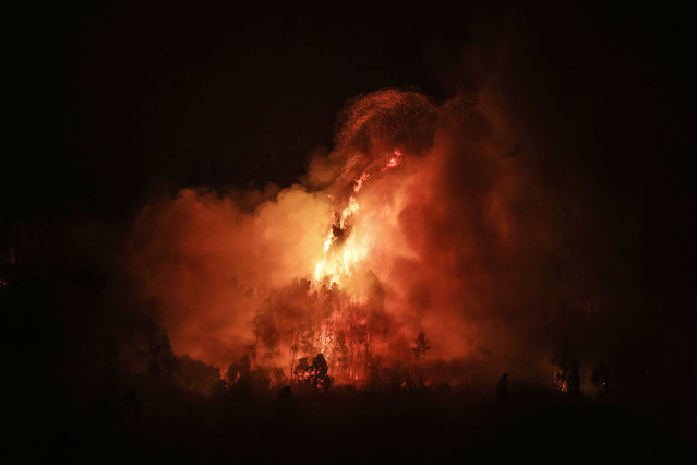 Trees burn in Talhadas, Sever do Vouga, Aveiro, Portugal 18 September 2024. Seven people have died and 40 have been injured, two seriously, in the fires that have been raging since 15 September in the northern and central regions of the country, in the districts of Aveiro, Porto, Vila Real and Viseu, destroying dozens of houses and forcing roads and motorways to be cut. (Photo by Estela Silva/EPA/EFE)