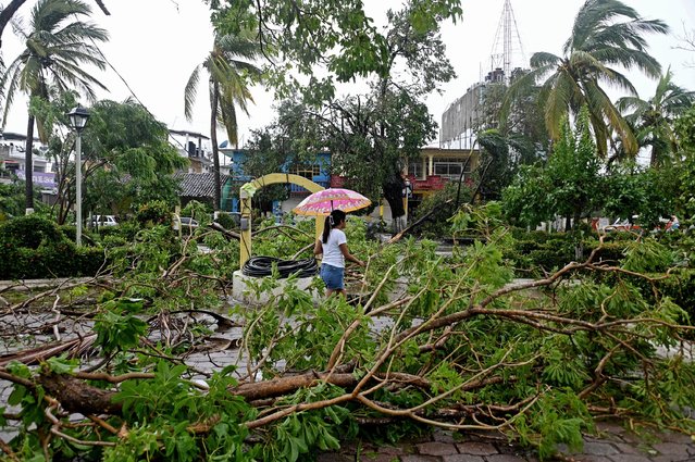 A woman walks past fallen trees as a result of Hurricane John in San Marcos, Guerrero State, Mexico, on September 24, 2024. Two people died in Mexico as a result of John, which made landfall in the Pacific as a category 3 hurricane on September 23 at night but dispersed on Tuesday, while the Mexican Caribbean was declared on alert for storm Helene. (Photo by Francisco Robles/AFP Photo)