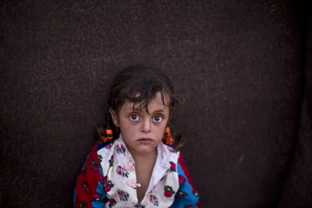 Syrian refugee girl Zahra Mahmoud, 4, sits in front of her family's makeshift tent at an informal tented settlement near the Syrian border on the outskirts of Mafraq, Jordan, Wednesday, August 19, 2015. (Photo by Muhammed Muheisen/AP Photo)