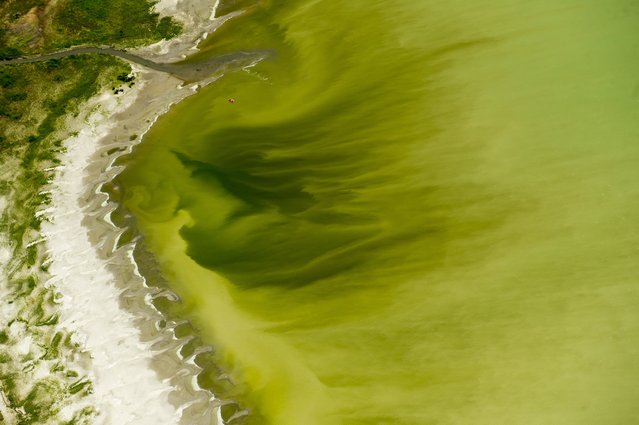 This Thursday, July 14, 2016 photo shows discolored water caused by an algae bloom near the Lindon Marina in Utah Lake in Lindon, Utah. Utah County health officials said at least eight people have fallen ill after interactions in Utah Lake, which has a potentially toxic algae bloom. (Photo by Rick Egan/The Salt Lake Tribune via AP Photo)