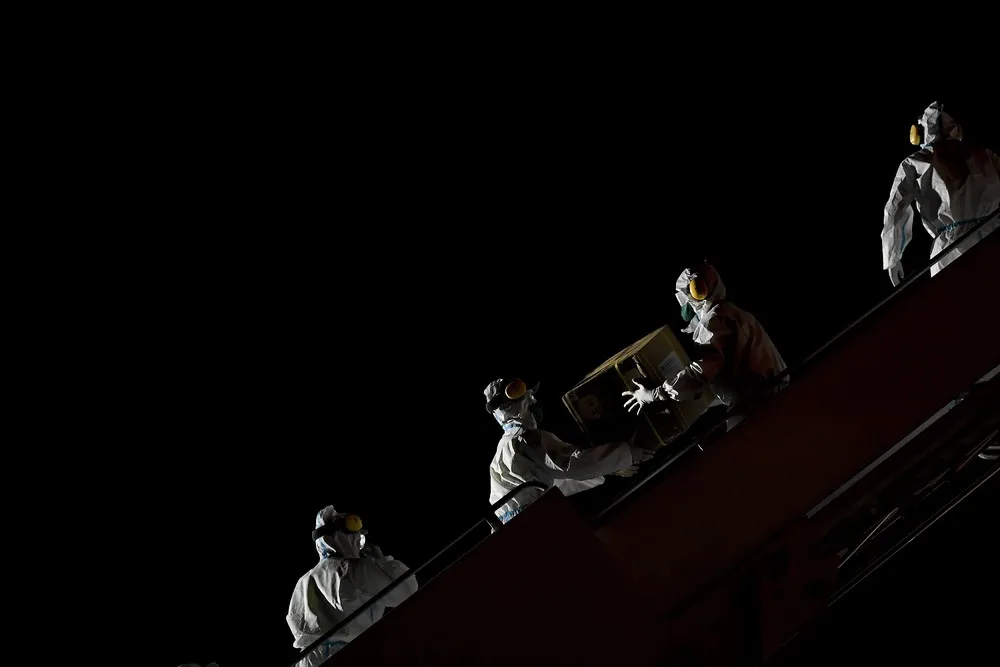 The Day in Photos – April 1, 2020, Part 1/2