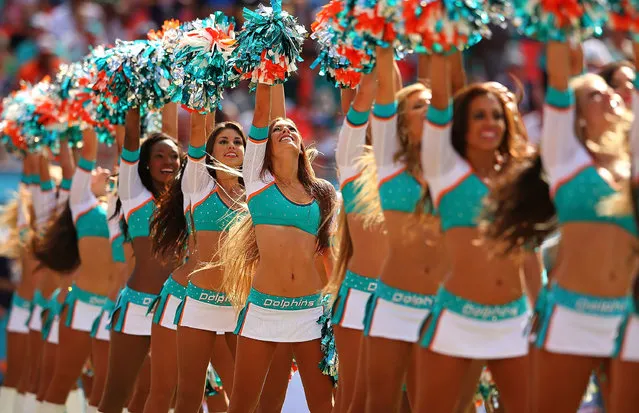 The Miami Dolphins cheerleaders perform during a game against the Baltimore Ravens at Sun Life Stadium on October 6, 2013 in Miami Gardens, Florida. (Photo by Mike Ehrmann/Getty Images)