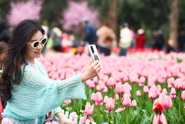 A visitor takes a selfie with blooming tulip flowers at Nanjing Green Exposition Park as spring arrives on March 15, 2025 in Nanjing, Jiangsu Province of China. The park opened its 2025 Tulip Festival on the day, attracting residents and tourists to enjoy the vibrant flowers. (Photo by Yang Suping/VCG via Getty Images)