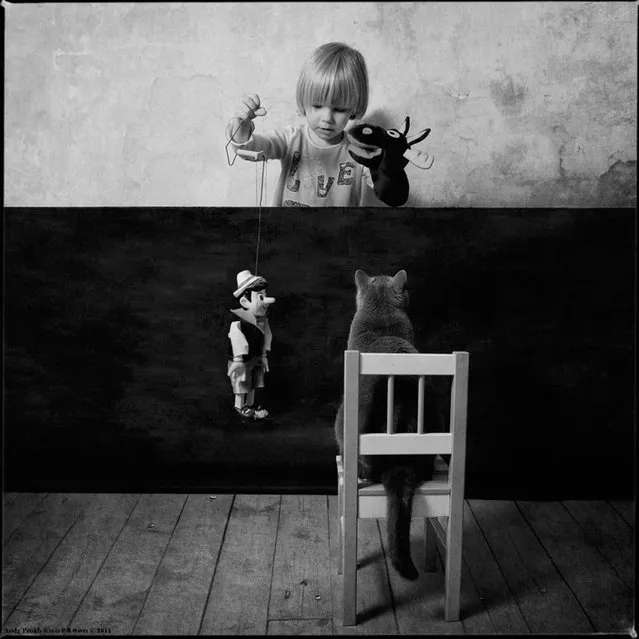 Little Girl and Tomcat By  Andy Prokh