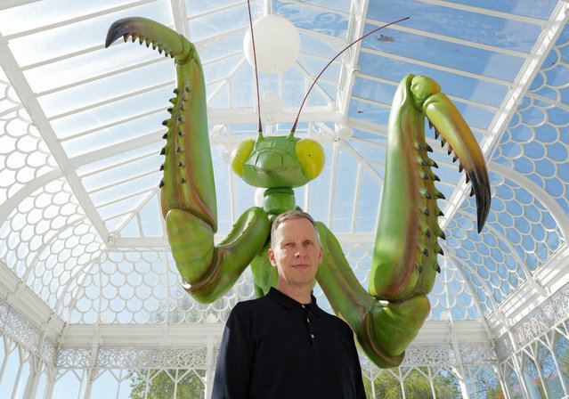 David Shrigley on Monday, April 7, 2025 attends the unveiling of his 3-metre-tall praying mantis sculpture, “The Mantis Muse”, at the Horniman Museum in Forest Hill, south east London and will be on public display at the museum for the first time from tomorrow, April 8. (Photo by Jack Hall/PA Media Assignments)