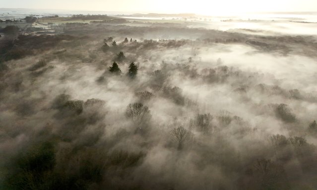 Mist covers Hoad's Wood as the sun rises near Ashford, Kent, UK on Wednesday, February 5, 2025. (Photo by Gareth Fuller/PA Images via Getty Images)