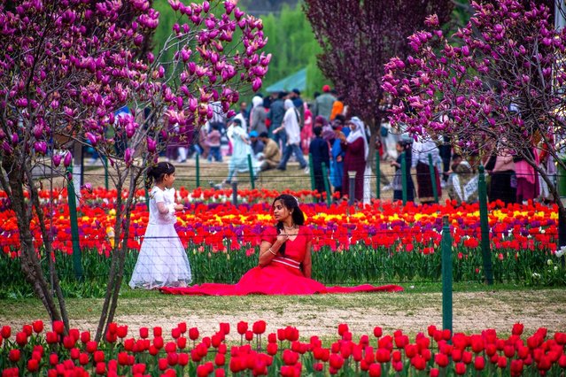 An Inian tourists sits in the  Siraj Bagh tulip garden where more than 1.5 Million tulips are expected to bloom during spring season on April 3, 2025 in Srinagar, India. Thousands of tourists have visited Siraj Bagh, Asia's largest tulip garden, nestled at the foothills of the Zabarwan mountain range, since opening to the public last week. The tulips are expected to remain in full bloom until April. (Photo by Yawar Nazir/Getty Images)