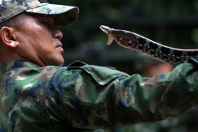 A Thai Navy instructor demonstrates how to catch a snake during a jungle survival exercise as part of the “Cobra Gold 2018” (CG18) joint military exercise, at a military base in Chonburi province, Thailand, February 19, 2018. (Photo by Athit Perawongmetha/Reuters)