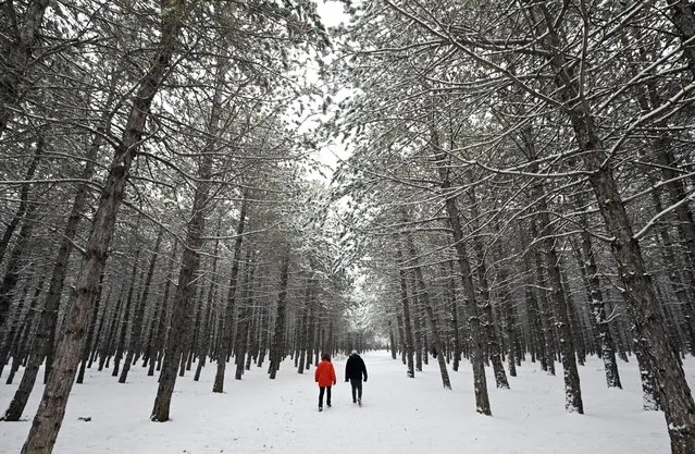 People walk around snow covered forest after heavy snowfall in Ankara, Turkiye on February 01, 2023. (Photo by Evrim Aydin/Anadolu Agency via Getty Images)