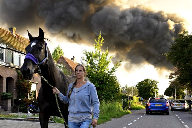 A woman pulls her horse to safety. A cloud of smoke crises above Oosteinderweg in Aalsmeer, Netherlands on August 24, 2025, where a large fire is raging. The fire broke out in a caravan storage facility. Although Oosteinderweg is near Schiphol Airport, the fire is not yet affecting air traffic. (Photo by Hollandse Hoogte/Rex Features/Shutterstock)