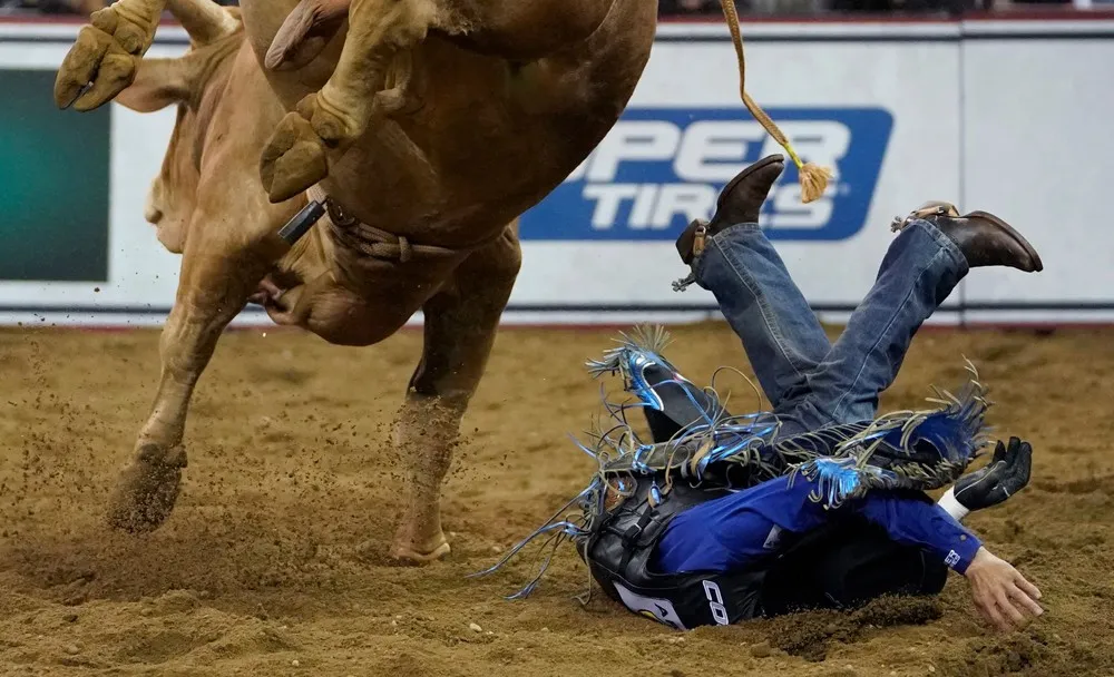 Pictures of the Year 2022, Part 009/163