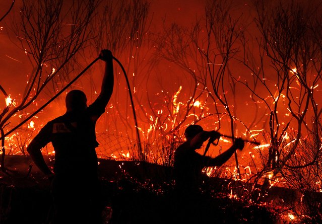 Firefighters try to extinguish a fire, as wildfire continues to burn in Delvina, Albania, on August 12, 2025. (Photo by Florion Goga/Reuters)