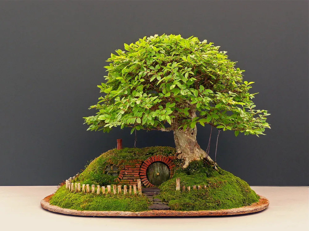 A Bonsai Baggins Hobbit Home by Chris Guise