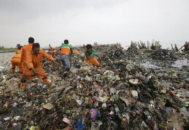 Workers sort though trash during a major clean up of the waters of Jakarta Bay in Jakarta, Indonesia, Saturday, March, 17, 2018. Jakarta's waters are polluted, contributing not only to a lack of clean drinking water, but also making flooding more likely during the rainy season. (Photo by Achmad Ibrahim/AP Photo)