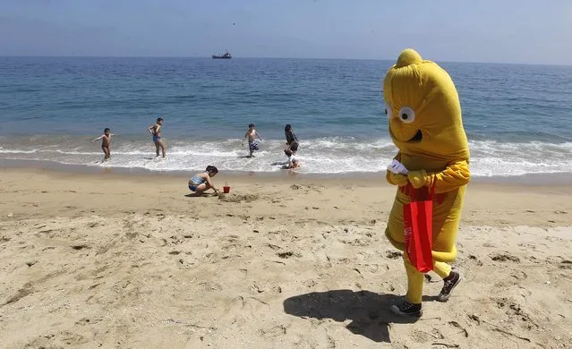 A man dressed in a condom costume walks at Caleta Portales beach, during a summer awareness campaign by the Chilean Corporation for the Prevention of AIDS in Valparaiso city, northwest of Santiago January  9, 2015. (Photo by Rodrigo Garrido/Reuters)