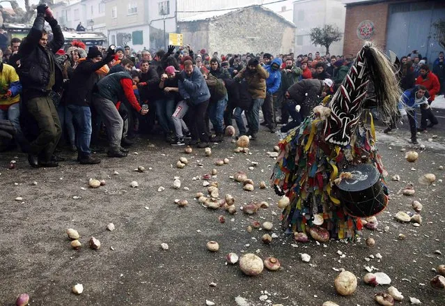 Revellers throw turnips at the kneeling Jarramplas as he makes his way through the streets beating his drum during the Jarramplas traditional festival in Piornal, southwestern Spain, January 20, 2015. (Photo by Sergio Perez/Reuters)