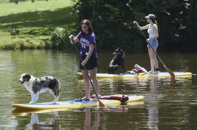 Amy Bonek, left, of Mishawaka, Ind., and Megan Vanoverberghe, of South Bend, Ind., paddle along the Paw Paw River with their dogs Thursday, July 5, 2018, in Benton Harbor, Mich. (Photo by Don Campbell/The Herald-Palladium via AP Photo)