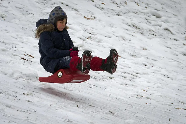 A child plays in Central Park as it snows in the Manhattan borough of New York January 26, 2015. Winter Storm Juno has brought blizzard warning for New York and much of the North East United States. (Photo by Carlo Allegri/Reuters)