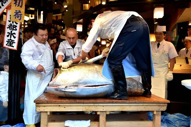 A 200-kilogram bluefin tuna is prepared by employees of sushi restaurant chain Sushi-Zanmai at the company's main restaurant near Tokyo's Tsukiji fish market on January 5, 2016. The bluefin tuna was traded at 117,000 USD (14 million yen) at the wholesale market on the first trading day of the new year. Tsukiji market will close its doors after 80 years followed by a new market opening in Toyosu this autumn. (Photo by Kazuhiro Nogi/AFP Photo)