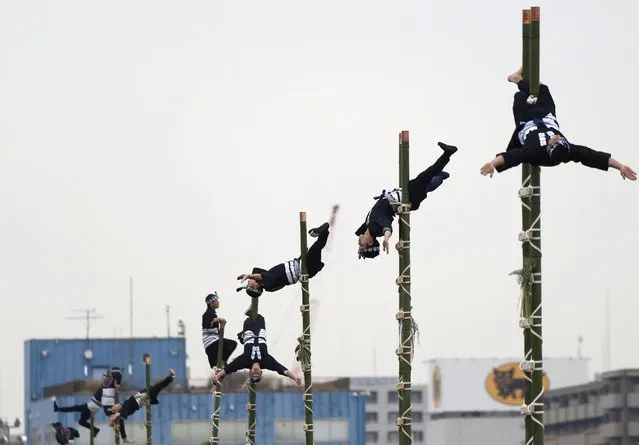 Members of the Edo Firemanship Preservation Association display their balancing skills atop bamboo ladders during a New Year demonstration by the fire brigade in Tokyo, Japan, January 6, 2016. (Photo by Yuya Shino/Reuters)
