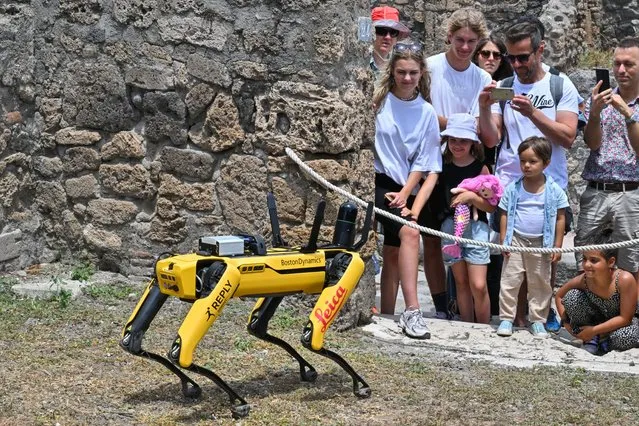 Visitors view “Spot”, a quadruped robot developped by Boston Robotics, as it is displayed on June 9, 2022 during a presentation to the media at the Archaeological Park of Pompeii, near Naples, southern Italy. Spot is one the latest monitoring operations of the archaeological structures, capable of inspecting the smallest of spaces in complete safety, gathering and recording data useful for the study and planning of interventions, to improve both the quality of monitoring of the existing areas, and to further our knowledge of the state of progress of the works in those areas undergoing recovery or restoration, and thereby to manage the safety of the site, as well as that of workers. (Photo by Andreas Solaro/AFP Photo)