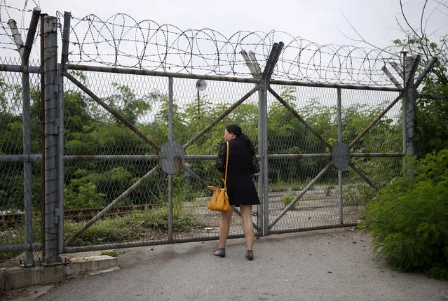 A Chinese tourist looks over a barbed-wire fence at the Imjingak pavilion near the demilitarized zone which separates the two Koreas, in Paju, South Korea, August 21, 2015. (Photo by Kim Hong-Ji/Reuters)