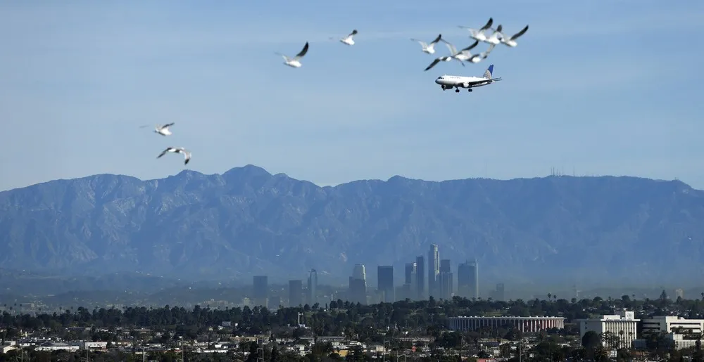 Simply Some Photos: Aircraft