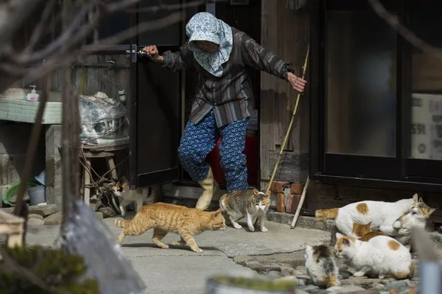 A local woman shoos away cats as she leaves her house on Aoshima Island in Ehime prefecture in southern Japan February 25, 2015. An army of cats rules the remote island in southern Japan, curling up in abandoned houses or strutting about in a fishing village that is overrun with felines outnumbering humans six to one. Picture taken February 25, 2015.REUTERS/Thomas Peter 