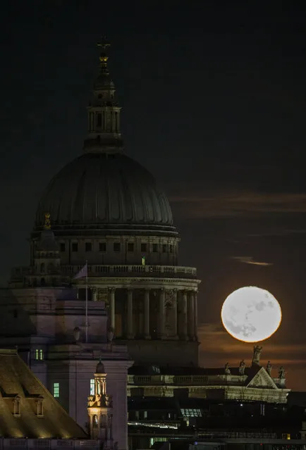 A supermoon rises on the horizon beyond St. Paul's Cathedral in central London on December 14, 2016. The phenomenon happens when the moon is full at the same time as, or very near, perigee – its closest point to Earth on an elliptical, monthly orbit. (Photo by Daniel Leal-Olivas/AFP Photo)