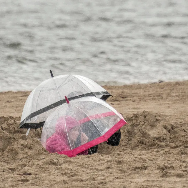 Rain didn’t stop play, Aberdyfi, Wales, by Josh Cooper: “I had been photographing a regatta and when the heavens opened headed for shelter at the Yacht Club. As I was walking back along the beach I noticed a couple of umbrellas which I thought had been abandoned. As I got closer, I saw they were sheltering two children who were continuing to play quite happily beneath them”. Living the view, adult class – shortlisted. (Photo by Josh Cooper/Landscape Photographer of the Year)