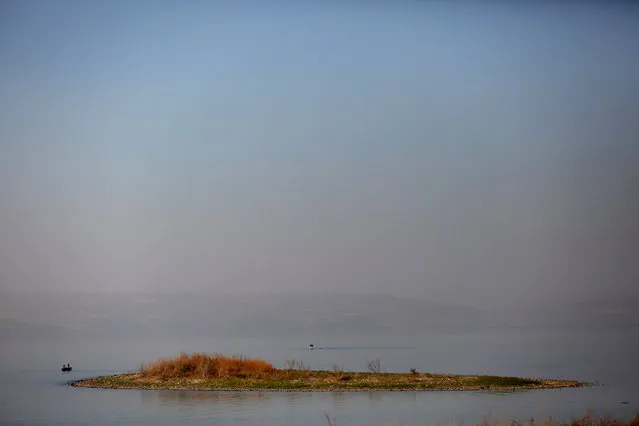 A piece of land is seen in the Sea of Galilee in northern Israel November 8, 2016. (Photo by Ronen Zvulun/Reuters)