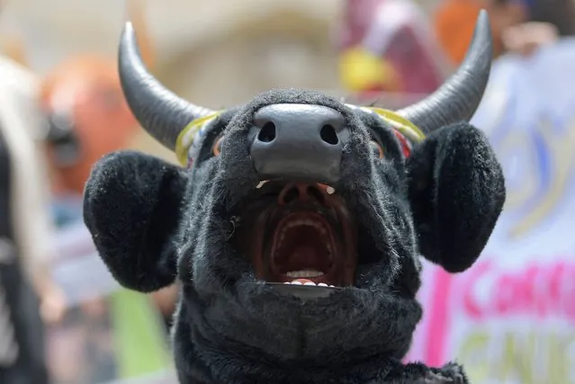 Activists demonstrate in support of animals and against bullfighting and cockfights during a protest at Bolivar square in Bogota, Colombia on October 5, 2022. (Photo by Raul Arboleda/AFP Photo)