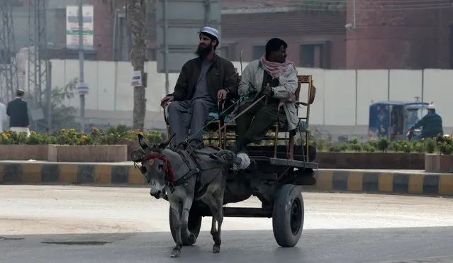 Men sit on chairs as they ride on a donkey drawn cart in Peshawar, Pakistan January 22, 2017. (Photo by Caren Firouz/Reuters)