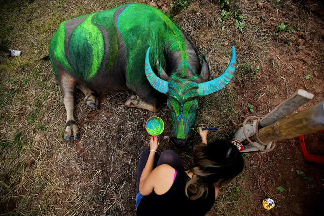 An artist paints a buffalo during the 'Painting on Buffalo' festival (Tich Dien) in Ha Nam province, Vietnam, 02 February 2017. On the 6th day of the first lunar month, artists from all over the country participated in the decorating contest, attracting hundreds of visitors to the festival. (Photo by Luong Thai Linh/EPA)