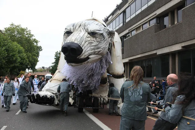 Giant Polar Bear Of London