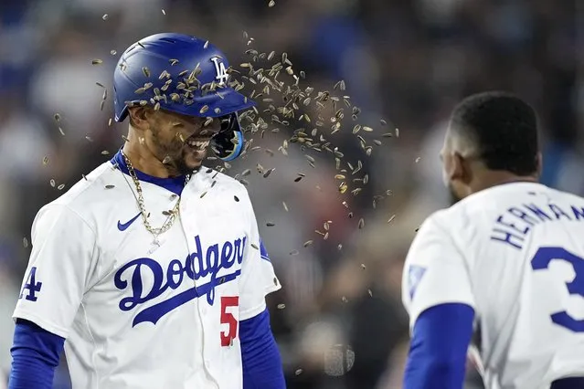 Los Angeles Dodgers' Mookie Betts, left, is showered with a handful of sunflower seeds after hitting a three-run home run in a baseball against the San Diego Padres, in Los Angeles, April 12, 2024. (Photo by Mark J. Terrill/AP Photo)