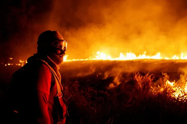 A firefighter looks on during the efforts to control fire in a rainforest located in the municipality of Canta, Roraima state, Brazil, February 29, 2024. (Photo by Bruno Kelly/Reuters)