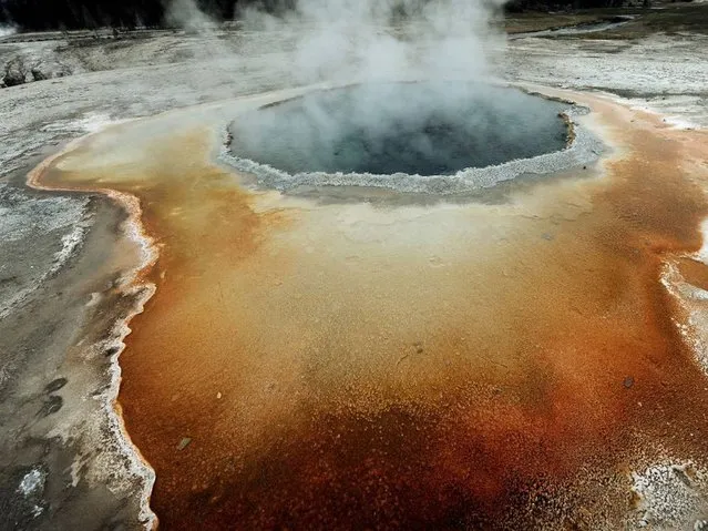 View of the “Crested Pool” hot spring with it's unique colors caused by brown, orange and yellow algae-like bacteria that thrive in the cooling water, turning the vivid aqua-blue to a murkier greenish brown, in the Yellowstone National Park. (Photo by Mark Ralston/AFP Photo)