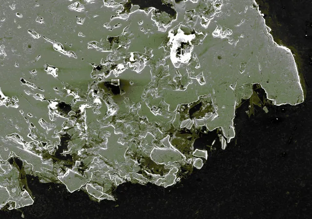 Micro or Macro? It's micro: this is an electron microscope image of a polished Magnetite sample. (Photo by P. Kelly)