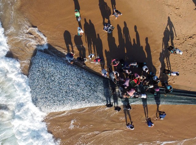 A drone view of fishermen unloading fish caught in a net during the sardine run in Scottburgh, South Africa, on June 12, 2024. (Photo by Rogan Ward/Reuters)