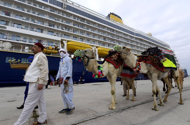 Tunisian men lead camels on March 23, 2022 at the port of La Goulette in Tunis as Tunisia welcomes the first cruise from Europe, with more than 800 tourists on board, after a stop recorded since 2019 due to the Covid-19 pandemic. Tunisia expects to welcome a total of 44 cruises during the year 2022, recalling that in 2010, Tunisia welcomed 1 million tourists coming in cruises. (Photo by Fethi Belaid/AFP Photo)