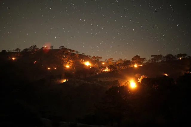 Small forest fires are pictured between pine trees at night at Sierra de Tejeda nature park, on a burnt mountain from El Collado mountain pass, near the town of Competa, near Malaga, southern Spain early June 30, 2014. A wildfire forced the evacuation of 600 people from their homes, most of the evacuated were resident tourists, as two houses were razed, according to local media. Picture taken using long exposure. (Photo by Jon Nazca/Reuters)