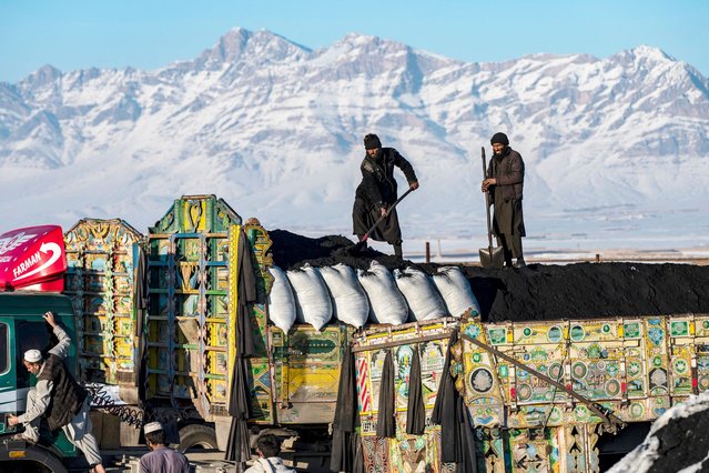 Afghan labourers shovel coal onto a truck bound for Pakistan, at a coal yard on the outskirts of Kabul on January 6, 2025. (Photo by Wakil Kohsar/AFP Photo)
