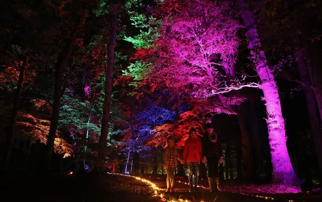 The Lake of Lights at Talkin Tarn lake near Brampton in Cumbria, England on October 22, 2017 – where hundreds of lights in the surrounding woodland represent a cherished memory of a relative friend or loved one no longer with us. (Photo by Owen Humphreys/PA Images via Getty Images)