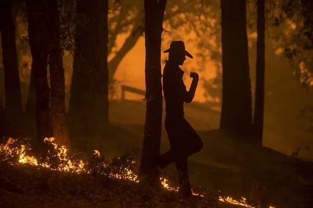 Flames from the Butte fire pass a yard sculpture in Mountain Ranch, California September 11, 2015. (Photo by Noah Berger/Reuters)