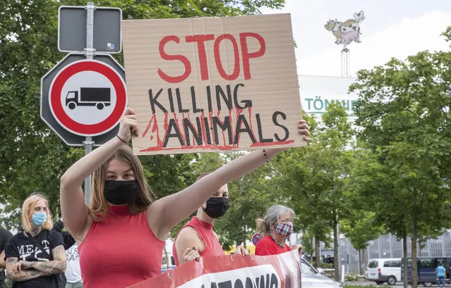 Animal rights activists protest in front of the Toennies meatpacking plant and slaughterhouse in Rheda-Wiedenbrueck, Germany, Saturday, June 20, 2020. Hundreds of new coronavirus cases are linked to the large meatpacking plant, officials ordered the closure of the slaughterhouse, as well as isolation and tests for everyone else who had worked at the Toennies site – putting about 7,000 people under quarantiner. (Photo by Friso Gentsch/dpa via AP Photo)