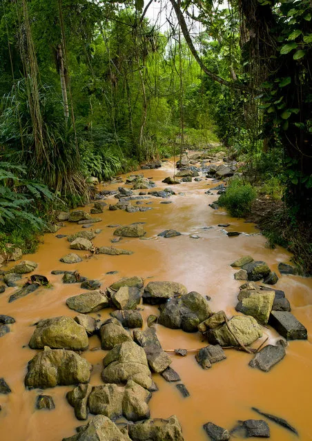“Muddy River In N Dalatando Botanical Garden, Angola. N'dalatando is a town of Cuanza Norte Province in Angola. It is also the capital of this province. Under portuguese rule the city was called Vila Salazar”. (Eric Lafforgue)