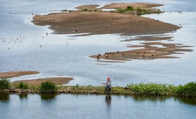 An angler sits and tries his luck fishing on the Polish side of the Oder in Slubice, the neighboring city of Frankfurt (Oder), Germany, photographed from the German side, 10 August 2016. The low water of the river has exposed the sand. (Photo by Patrick Pleul/EPA)